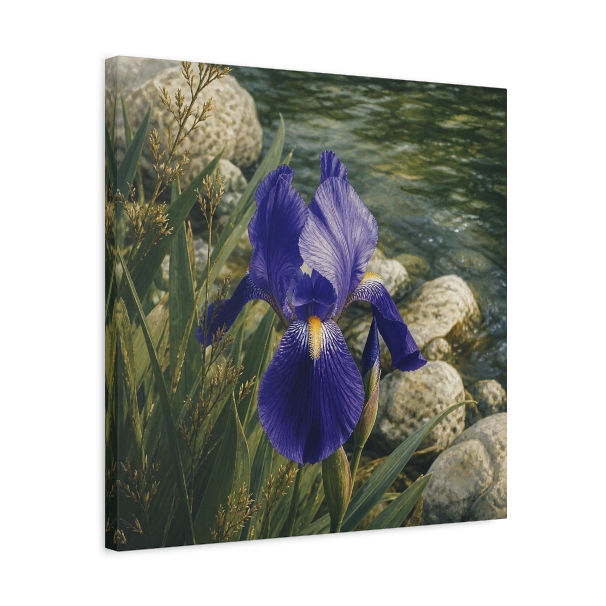 Side Mockup 5. Indigo Iris Beside Stones shown as canvas print