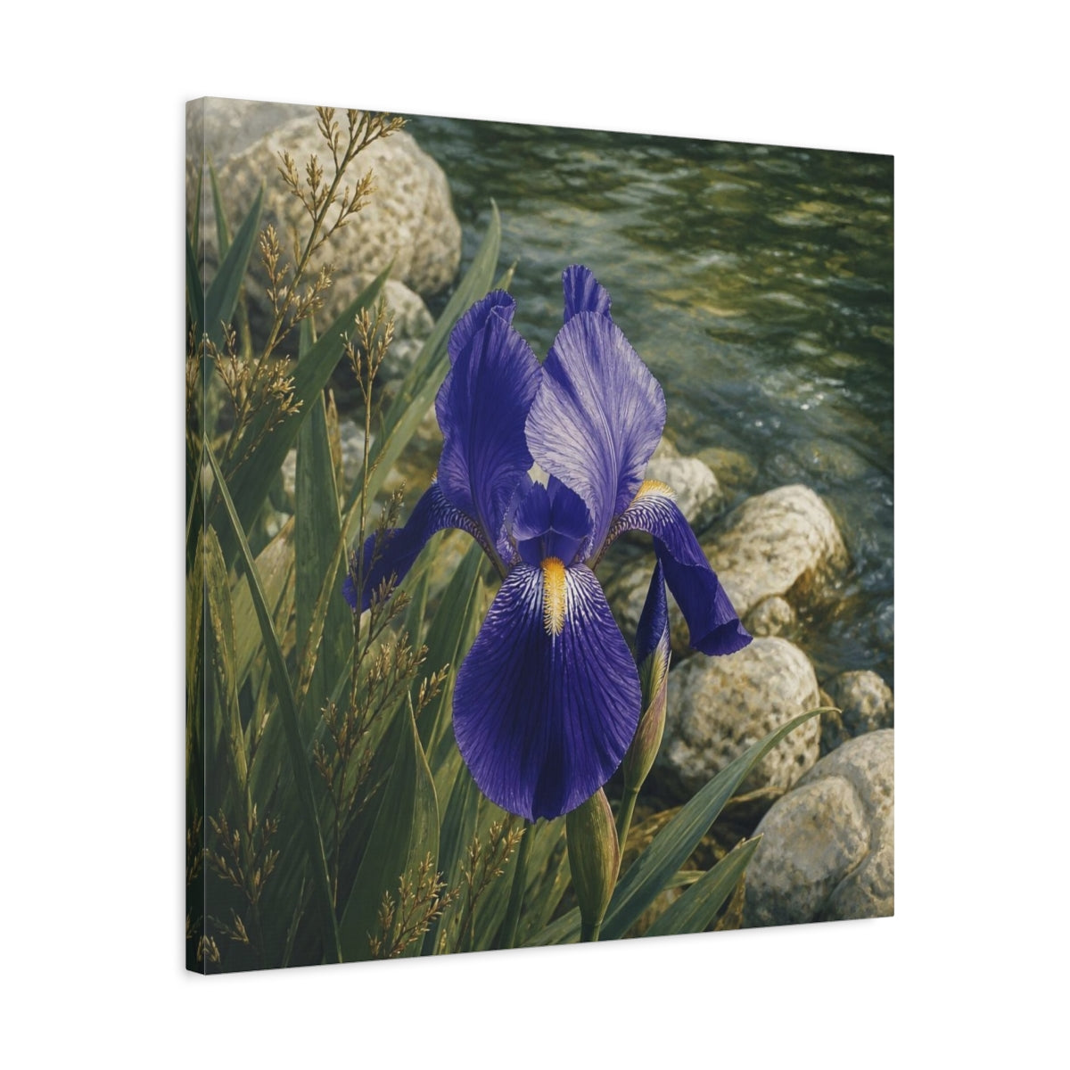 Side Mockup 4. Indigo Iris Beside Stones shown as canvas print