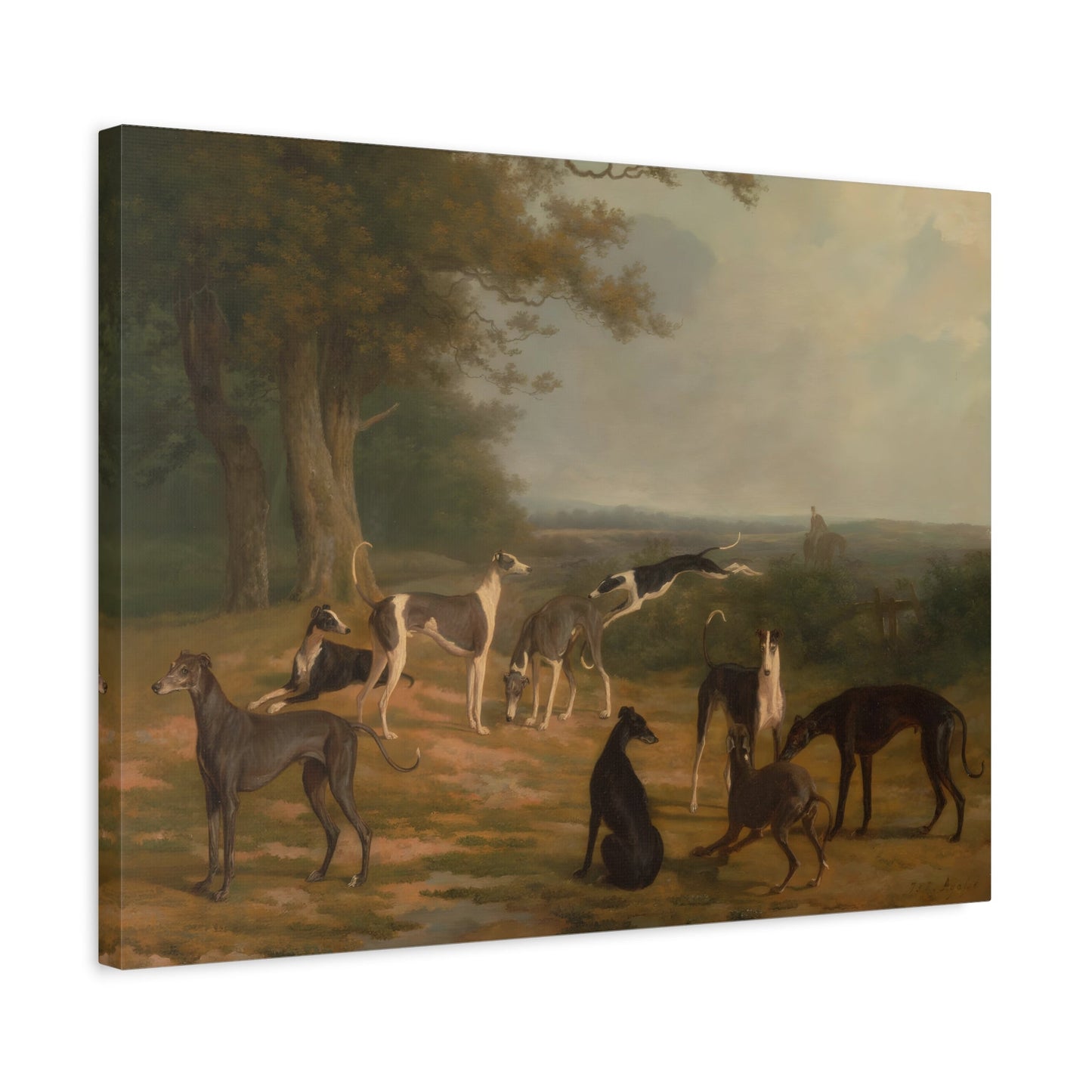 Jacques Agasse Nine Greyhounds Dog in a Landscape - Canvas Print