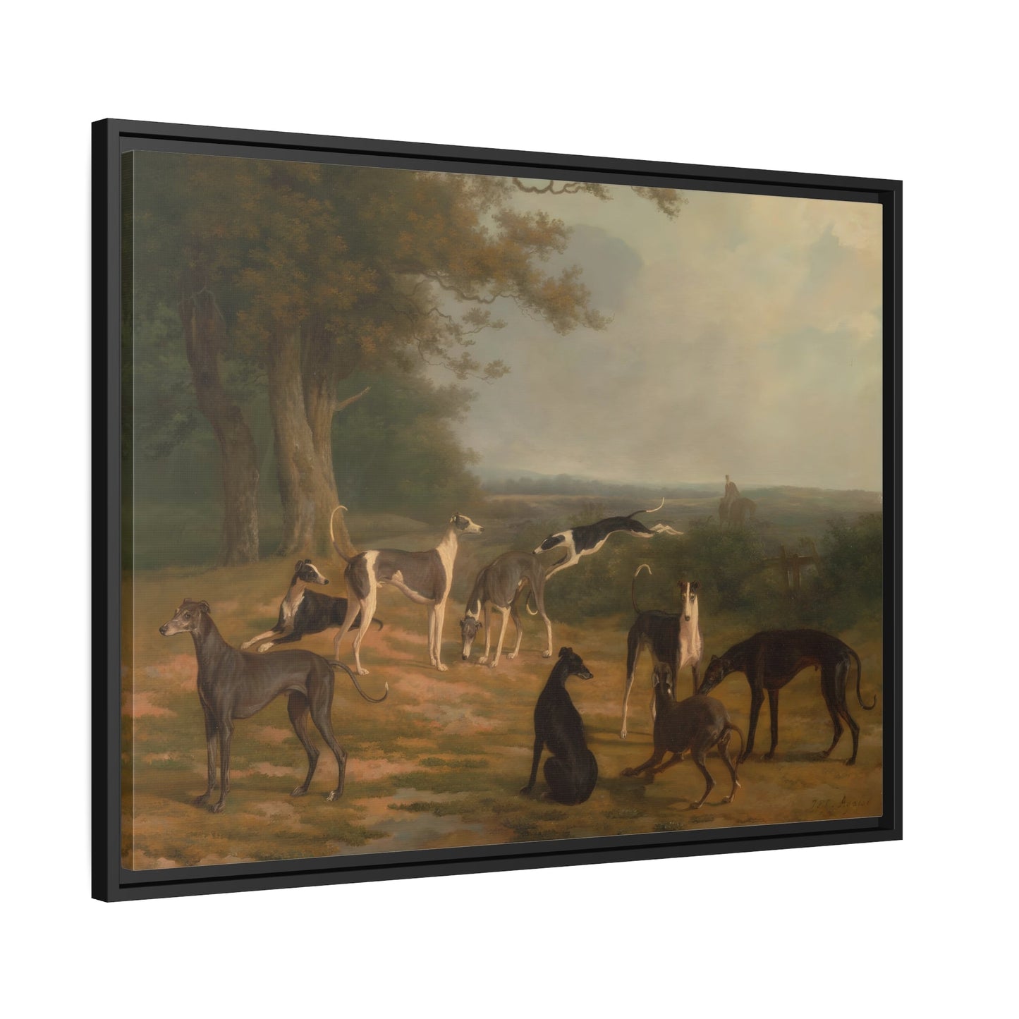 Jacques Laurent Agasse Nine Greyhounds Dog in a Landscape - Framed Canvas Wall Art Print in Black Pinewood Frame