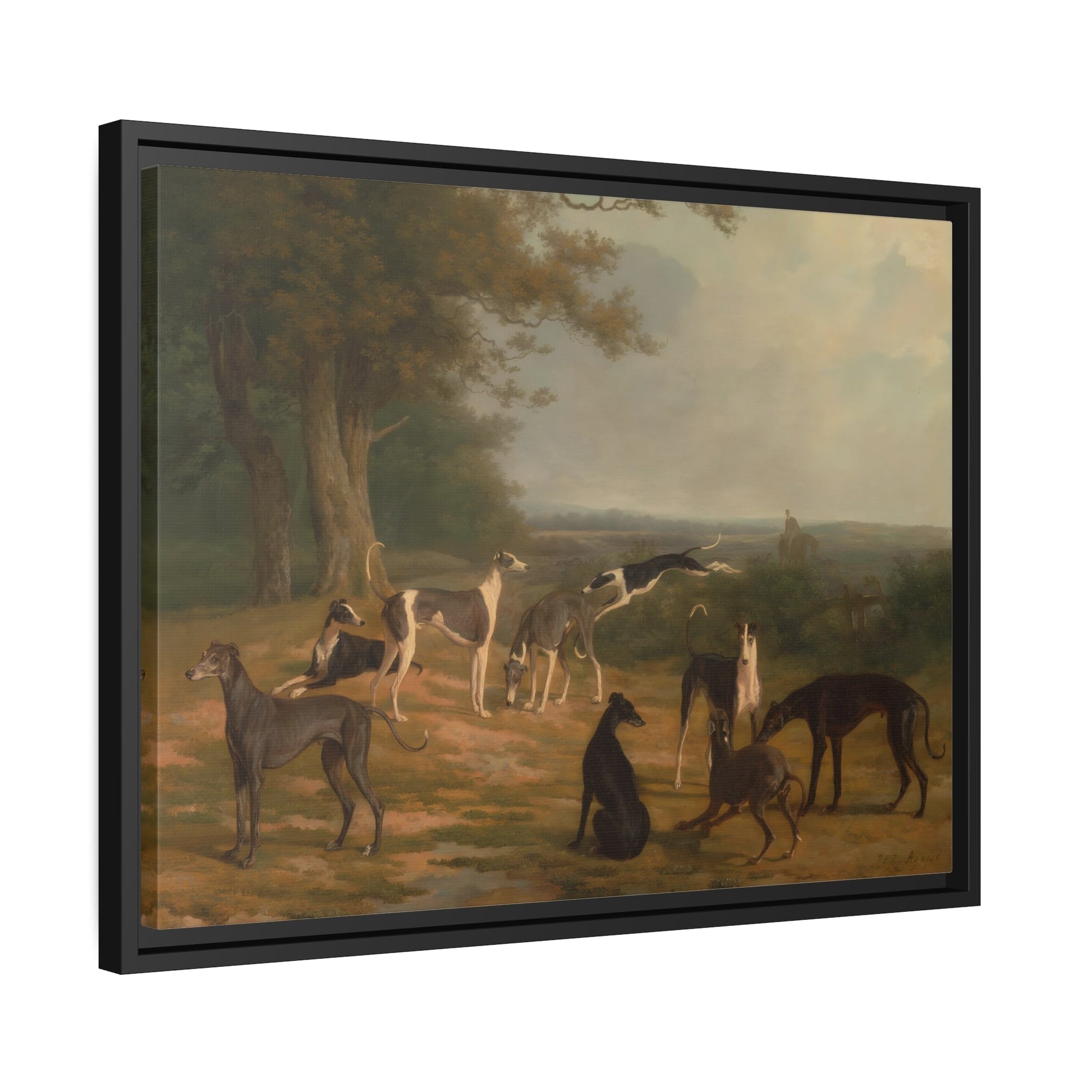 Jacques Laurent Agasse Nine Greyhounds Dog in a Landscape - Framed Canvas Wall Art Print in Black Pinewood Frame