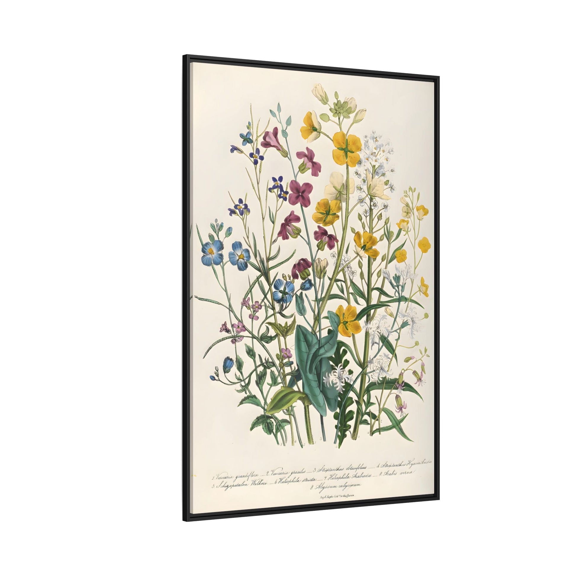 Jane Loudon Buttercups Canvas Wall Art Print - Forget Me Nots Flowers - YesArtYes