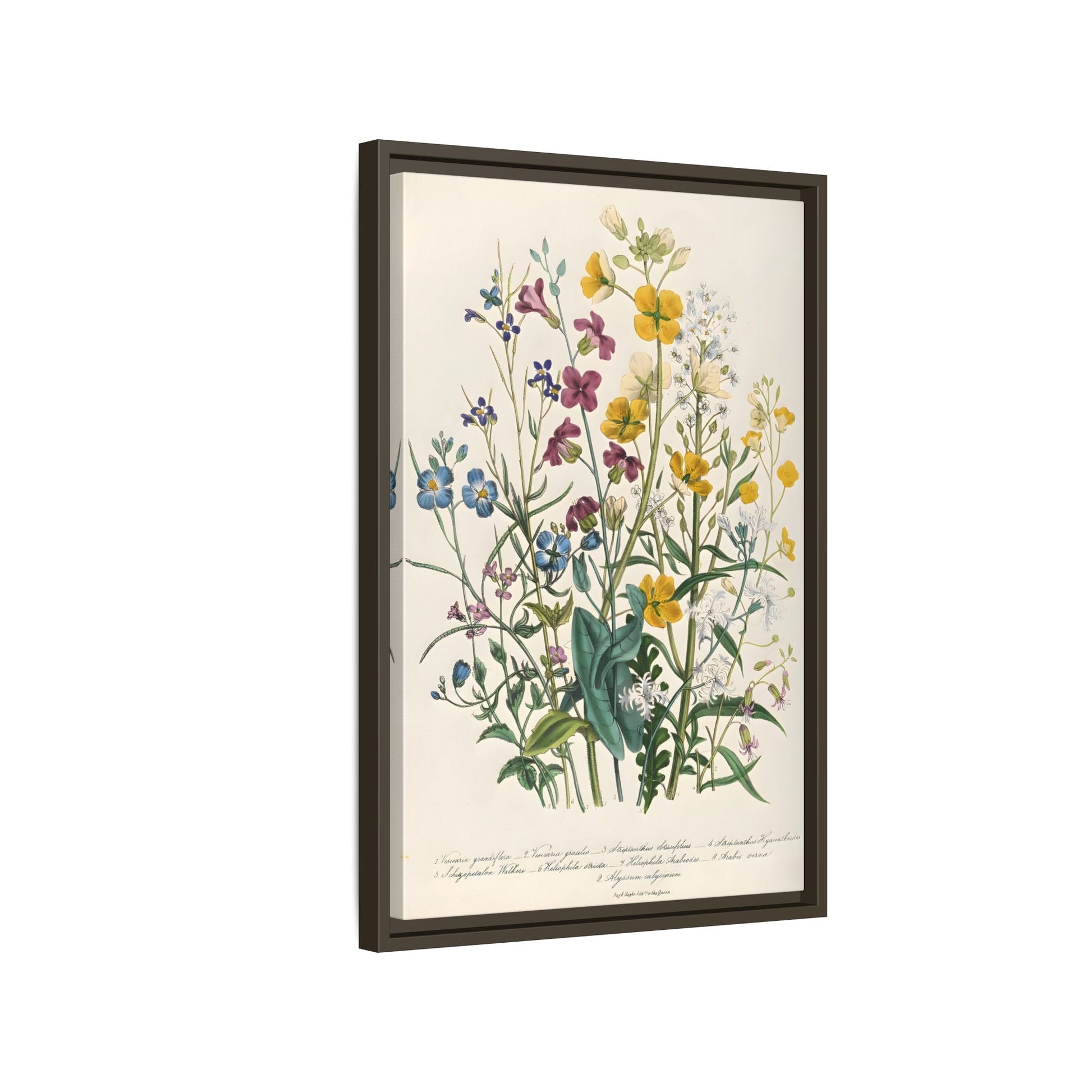 Jane Loudon Buttercups Canvas Wall Art Print - Forget Me Nots Flowers - YesArtYes