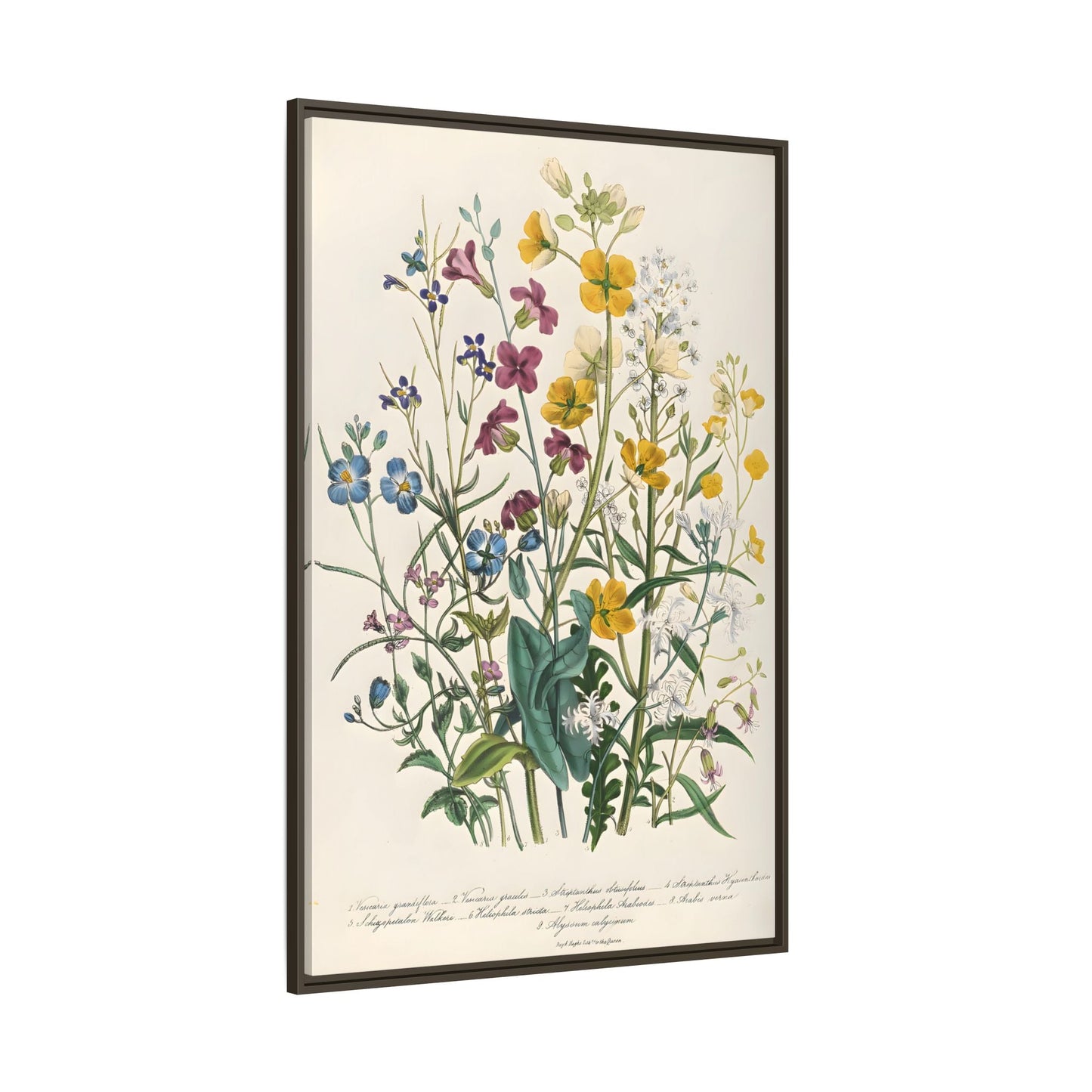 Jane Loudon Buttercups Canvas Wall Art Print - Forget Me Nots Flowers - YesArtYes