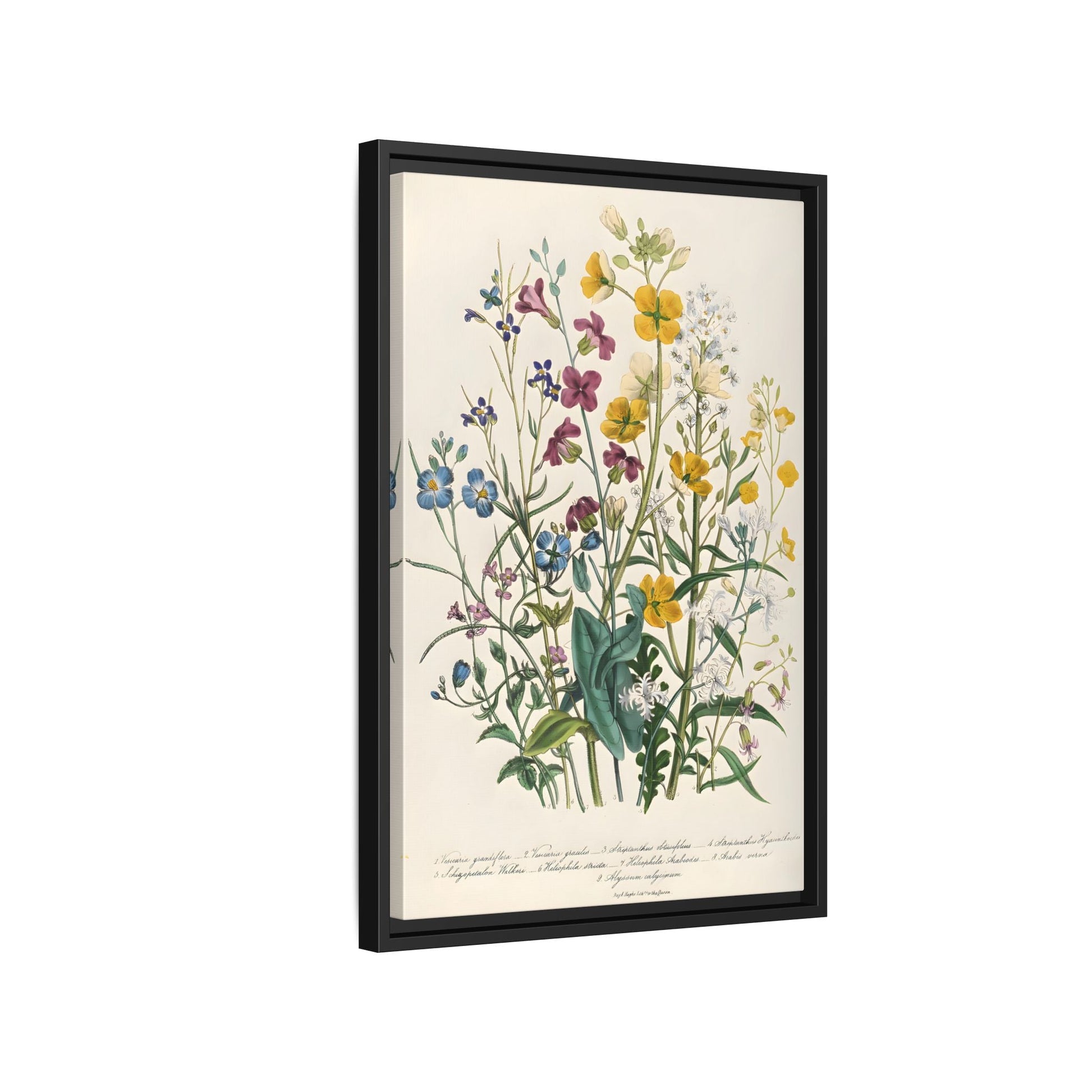 Jane Loudon Buttercups Canvas Wall Art Print - Forget Me Nots Flowers - YesArtYes