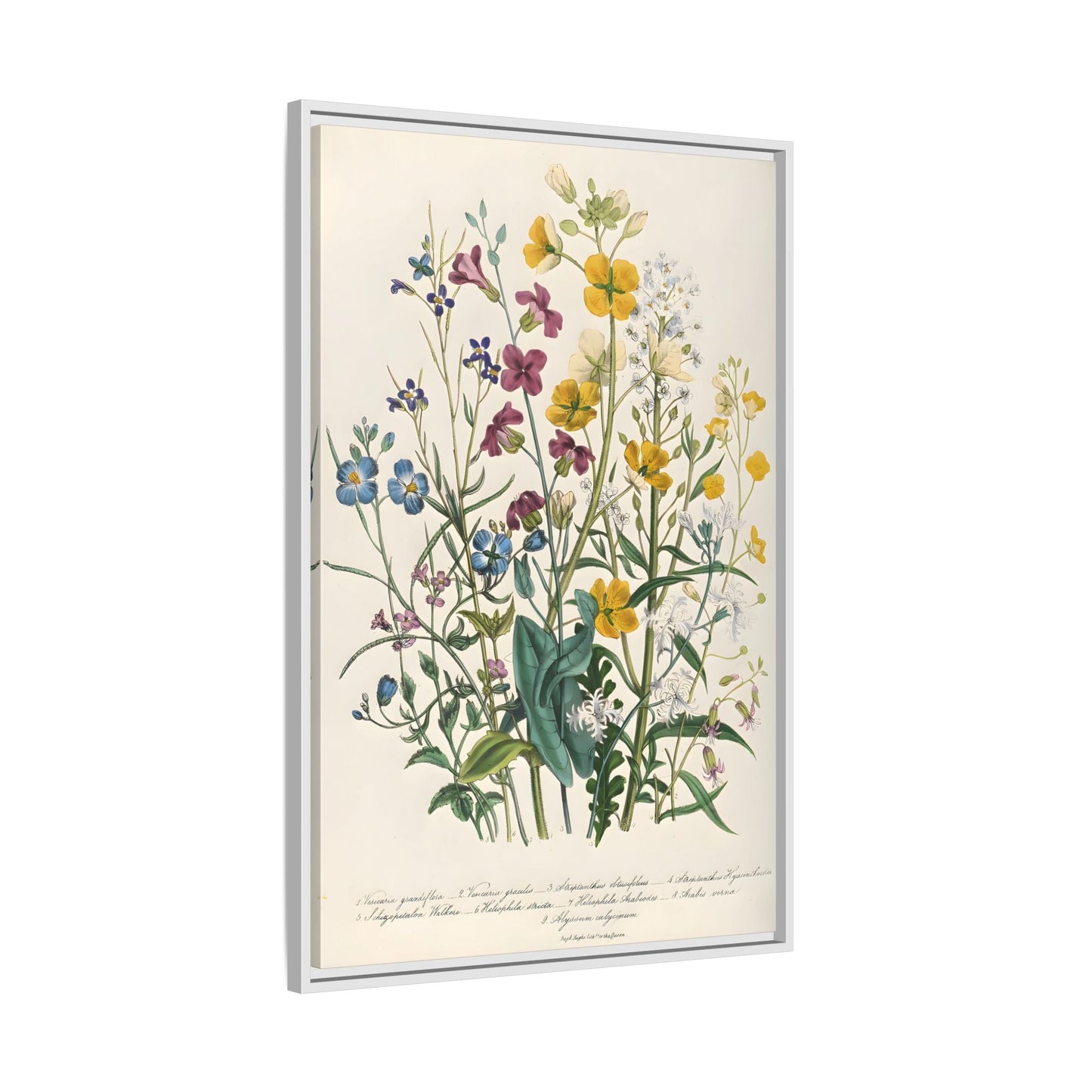 Jane Loudon Buttercups Canvas Wall Art Print - Forget Me Nots Flowers - YesArtYes