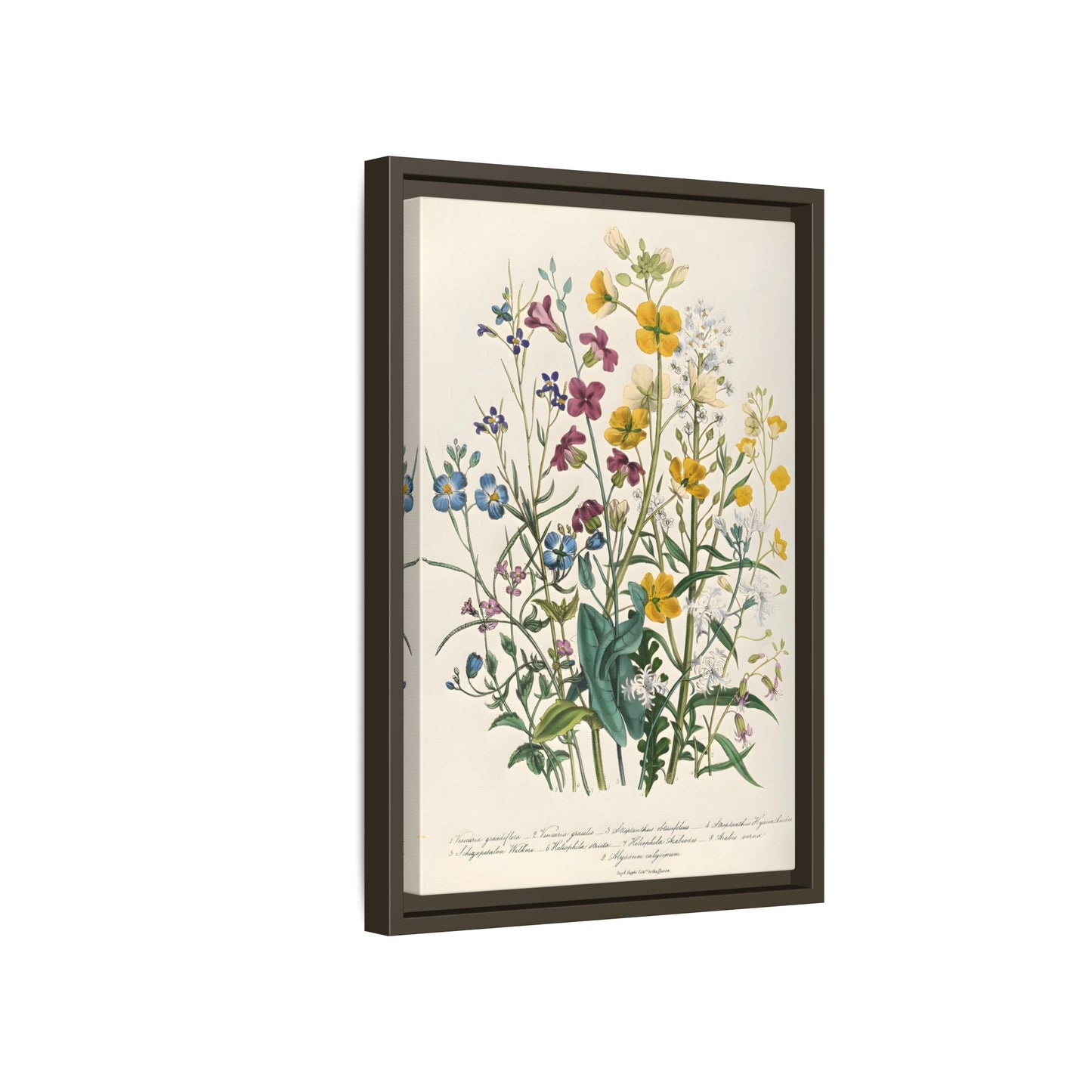 Jane Loudon Buttercups Canvas Wall Art Print - Forget Me Nots Flowers - YesArtYes