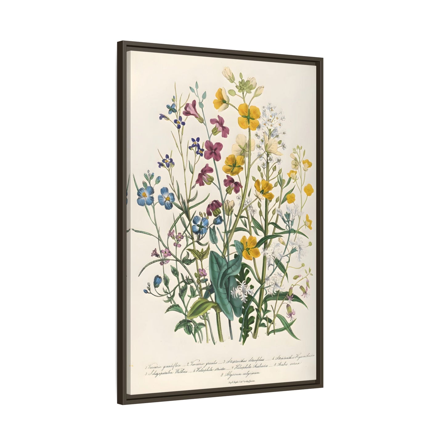 Jane Loudon Buttercups Canvas Wall Art Print - Forget Me Nots Flowers - YesArtYes