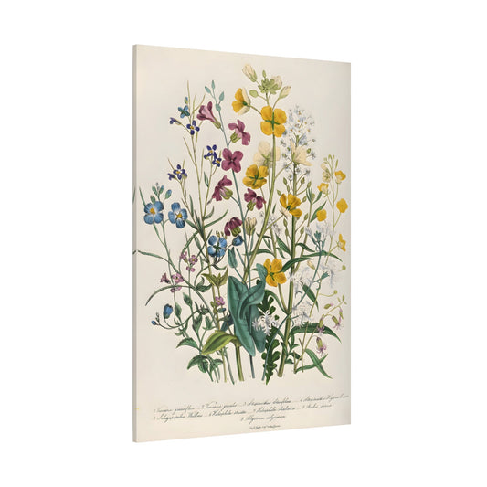 Jane Loudon Forget Me Nots and Buttercups Canvas Print - Ladies Flower Garden - YesArtYes