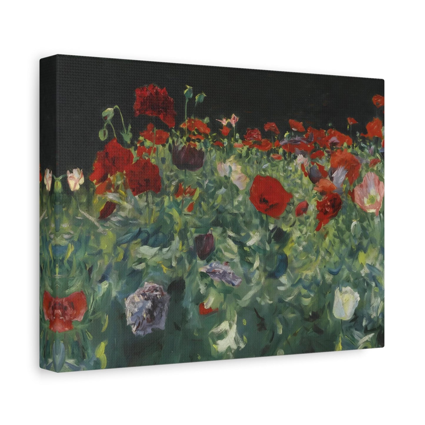 John Singer Sargent Poppies Field - Floral Canvas Wall Art Print