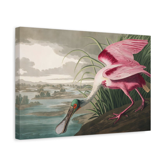 Large Bird Audubon Canvas Print - Roseate Spoonbill Wall Art - YesArtYes