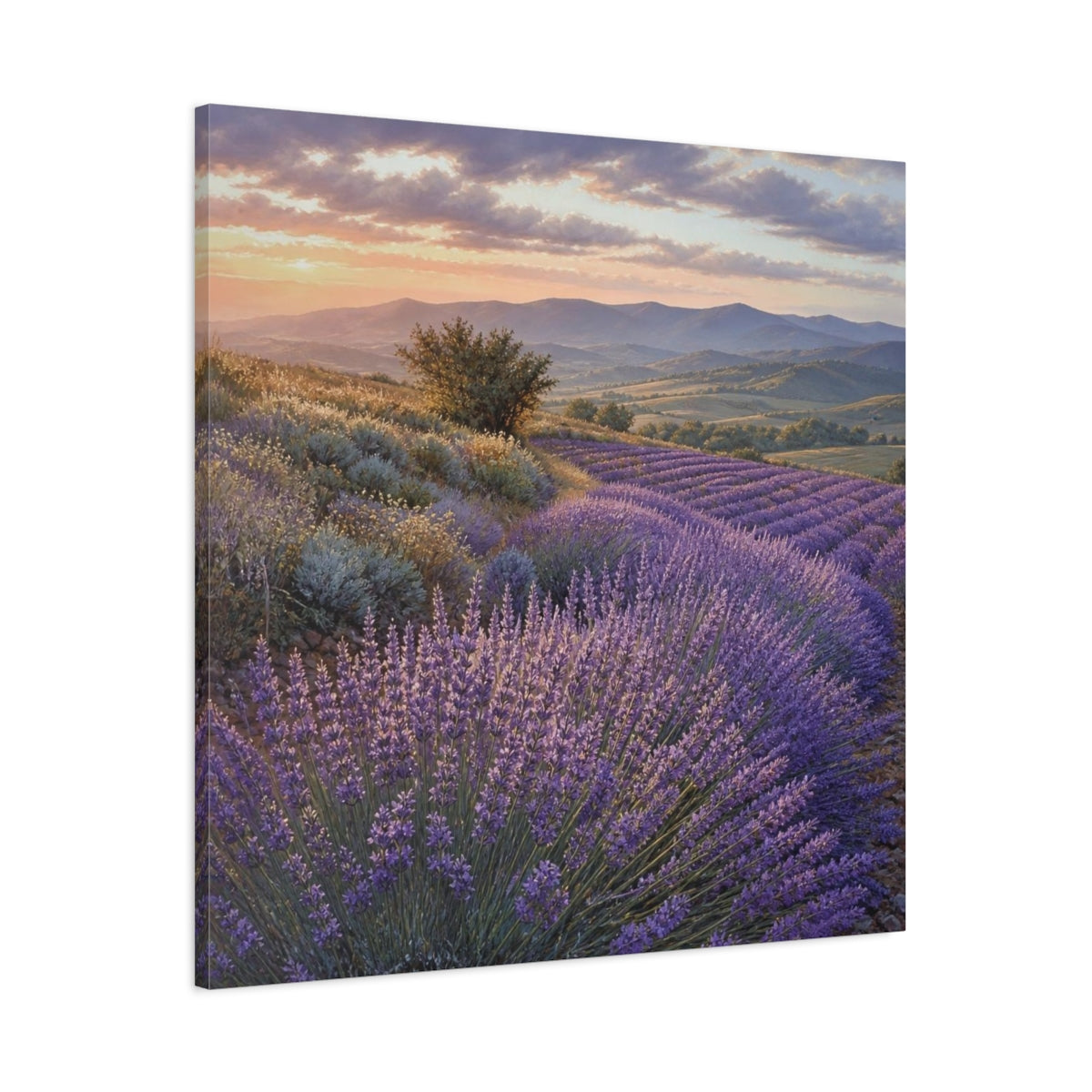 Main Mockup. Lavender Fields At Sunset shown as canvas print