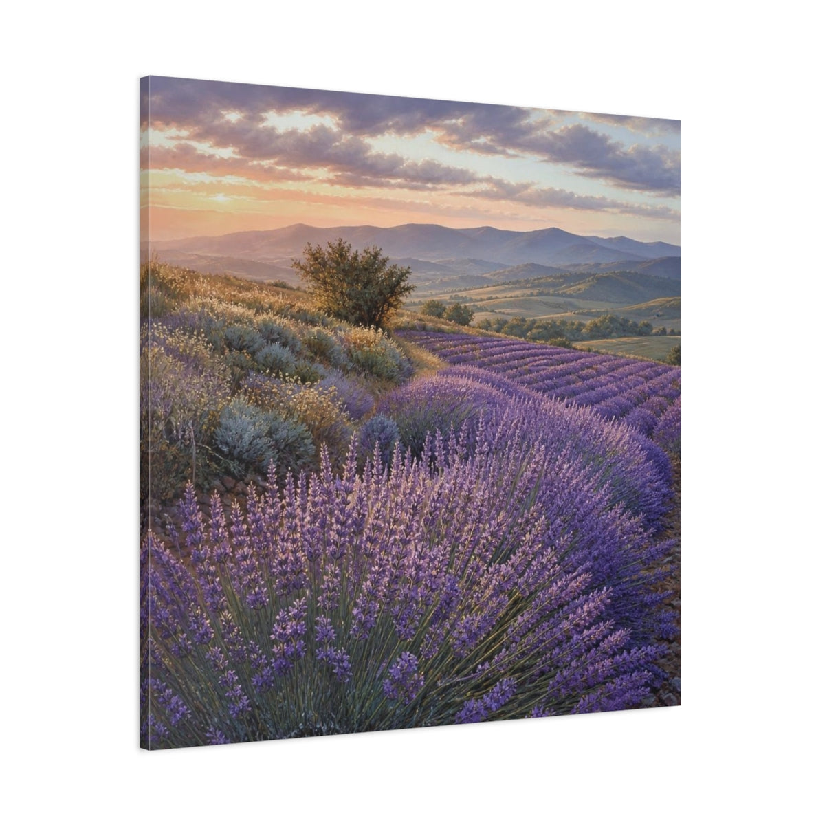Side Mockup 1. Lavender Fields At Sunset shown as canvas print