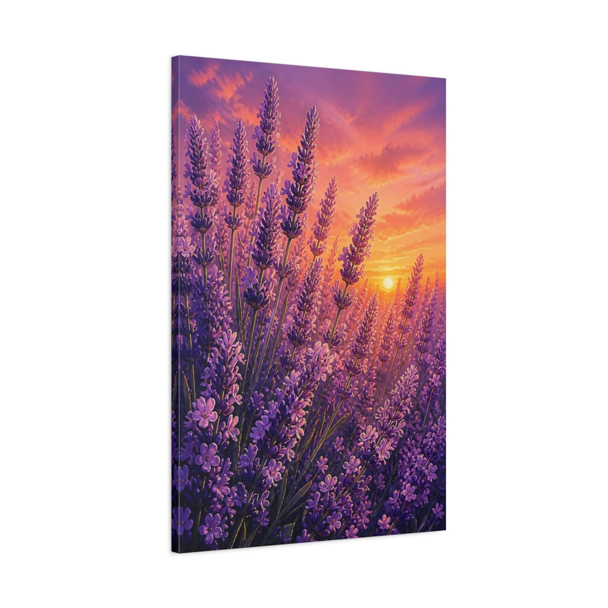Main Mockup. Lavender Flowers At Sunset shown as canvas print