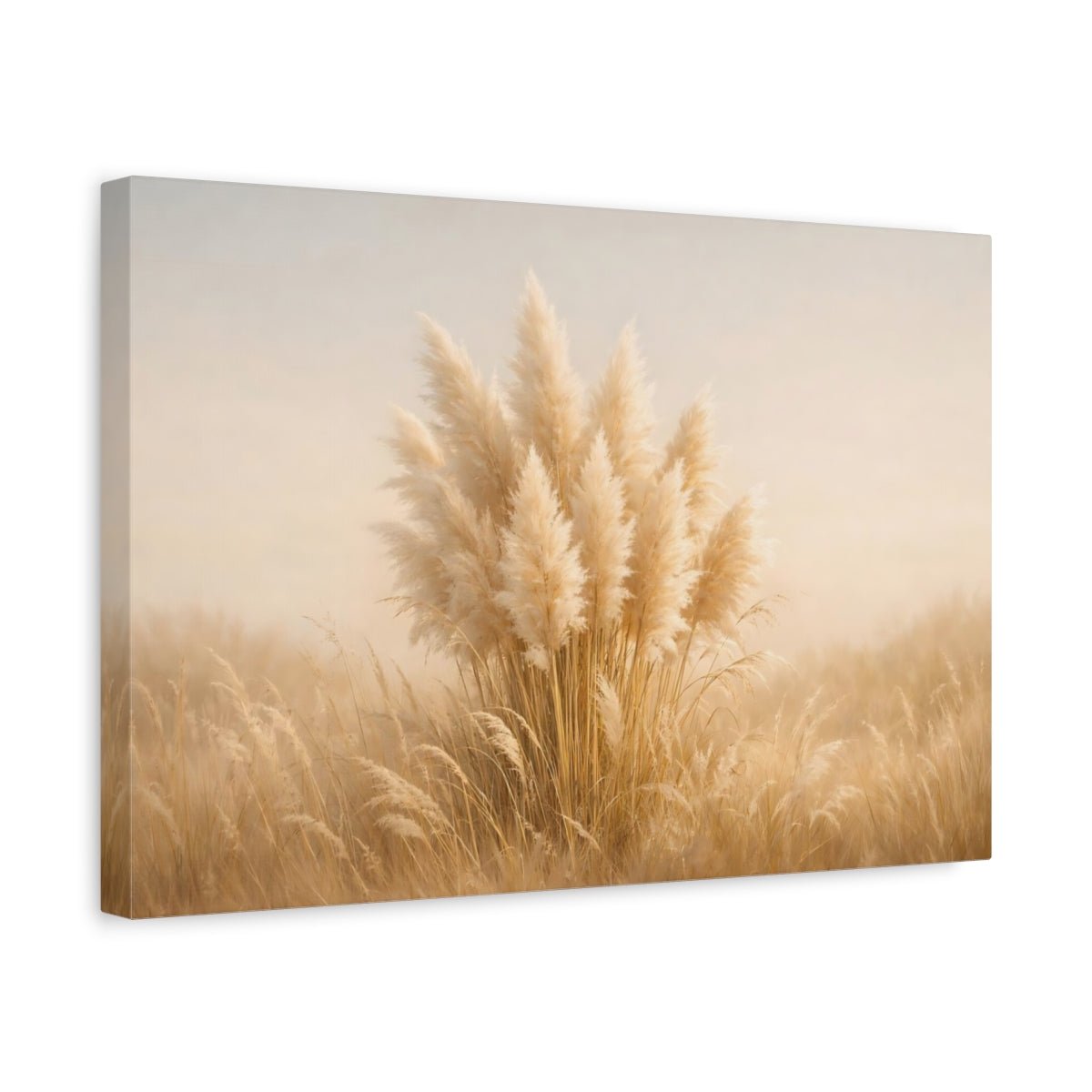 Light Balance Pampas Grass Nature - Canvas Wall Art Print - YesArtYes