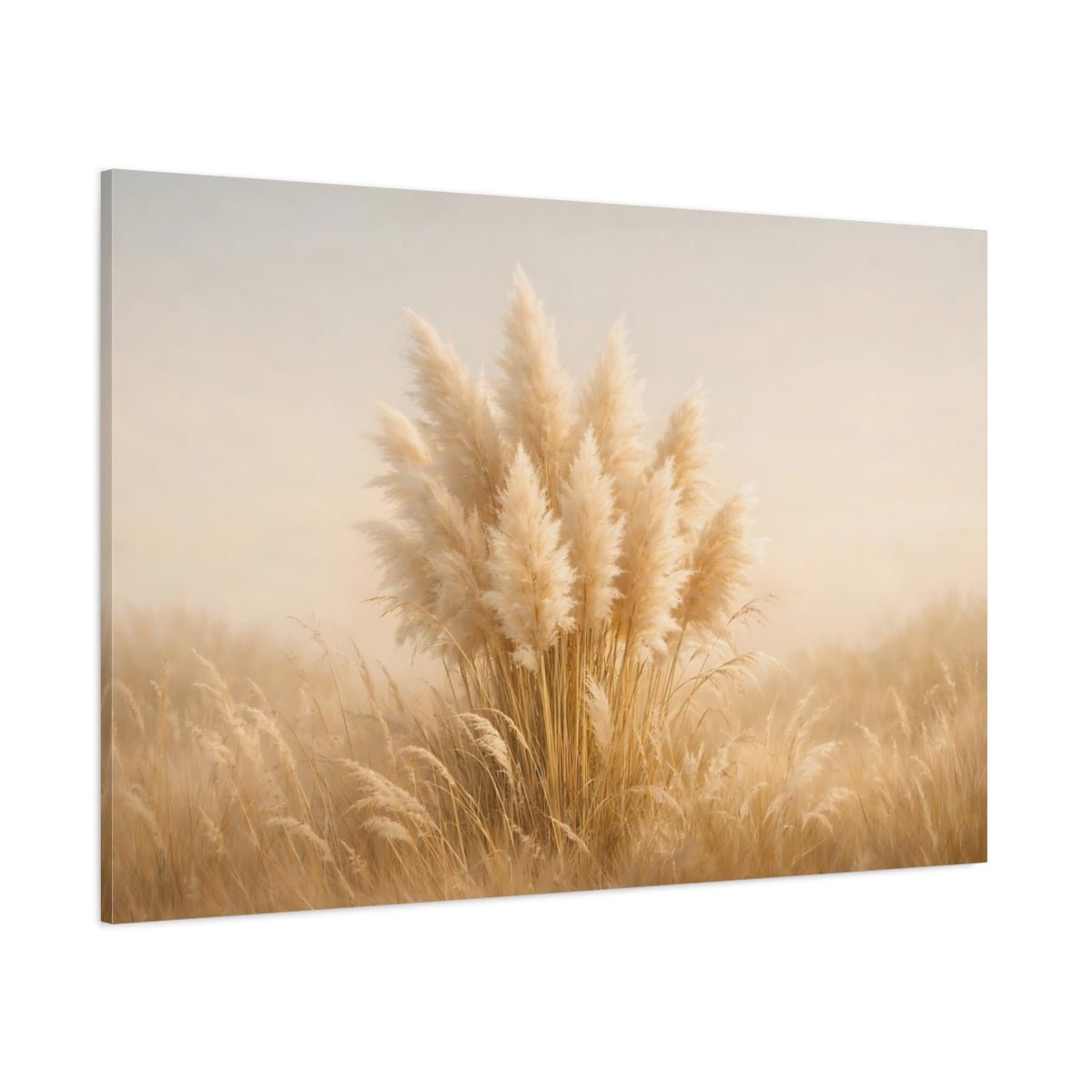 Light Balance Pampas Grass Nature - Canvas Wall Art Print - YesArtYes