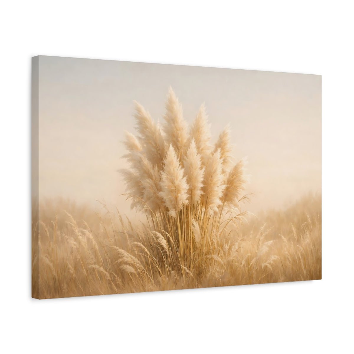 Light Balance Pampas Grass Nature - Canvas Wall Art Print - YesArtYes
