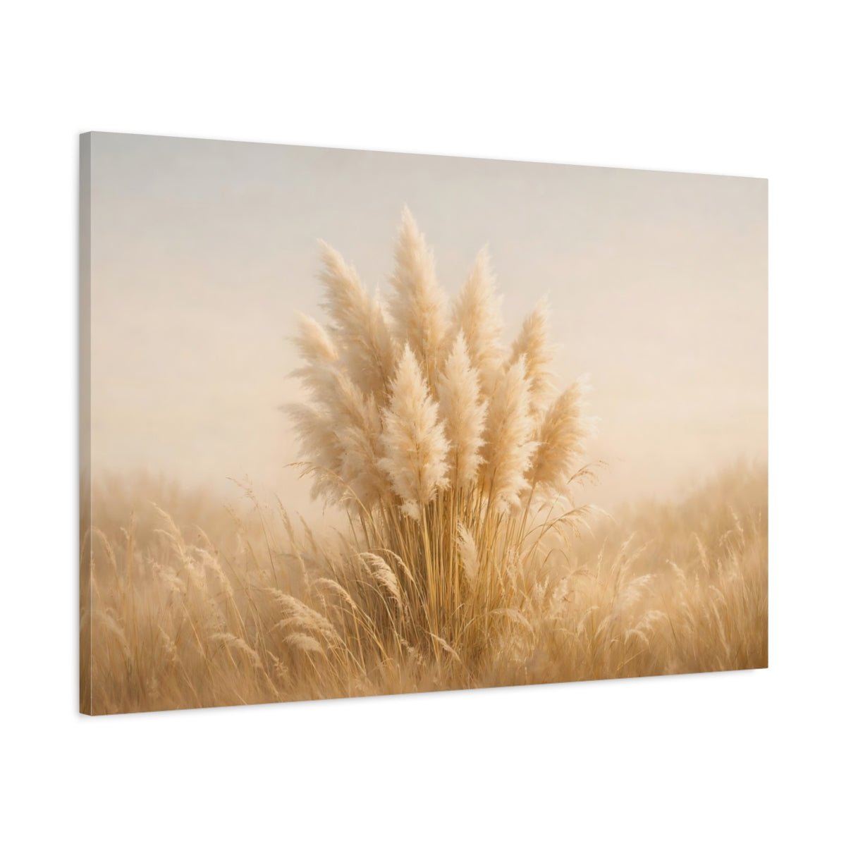Light Balance Pampas Grass Nature - Canvas Wall Art Print - YesArtYes