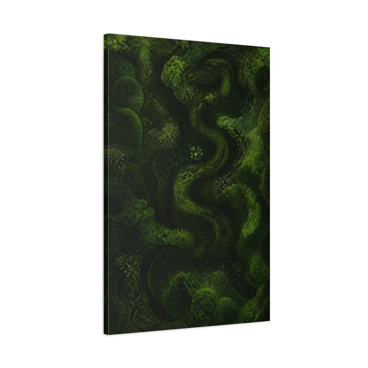 Main Mockup. Moss Serpent shown as canvas print