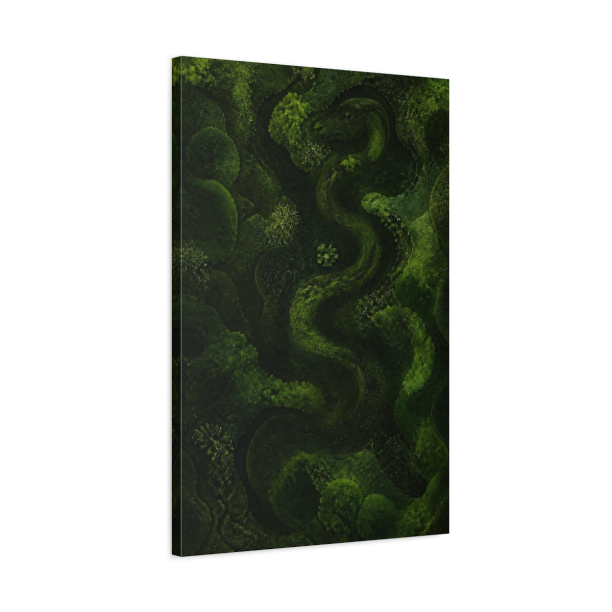 Side Mockup 2. Moss Serpent shown as canvas print