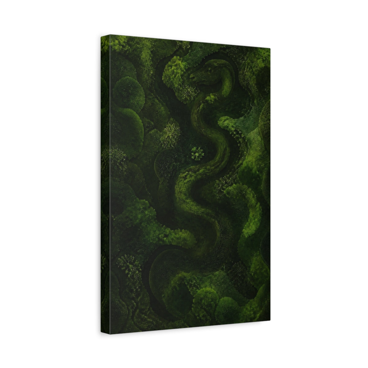 Side Mockup 4. Moss Serpent shown as canvas print