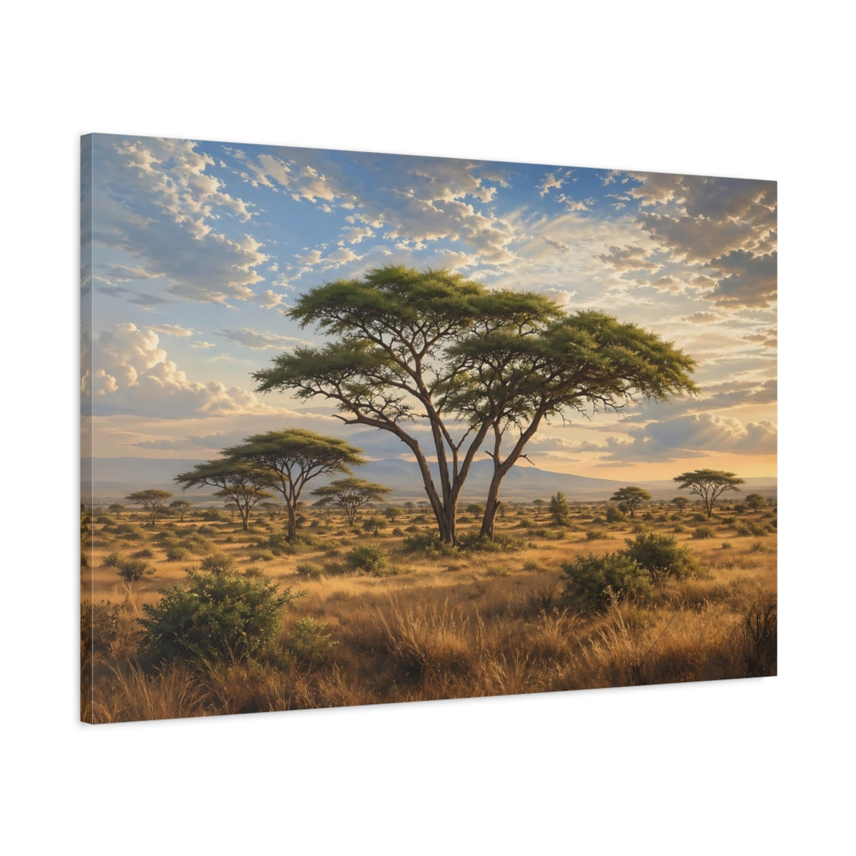 Main Mockup. Nature Acacia Tree Golden Savanna shown as stretched canvas wall art