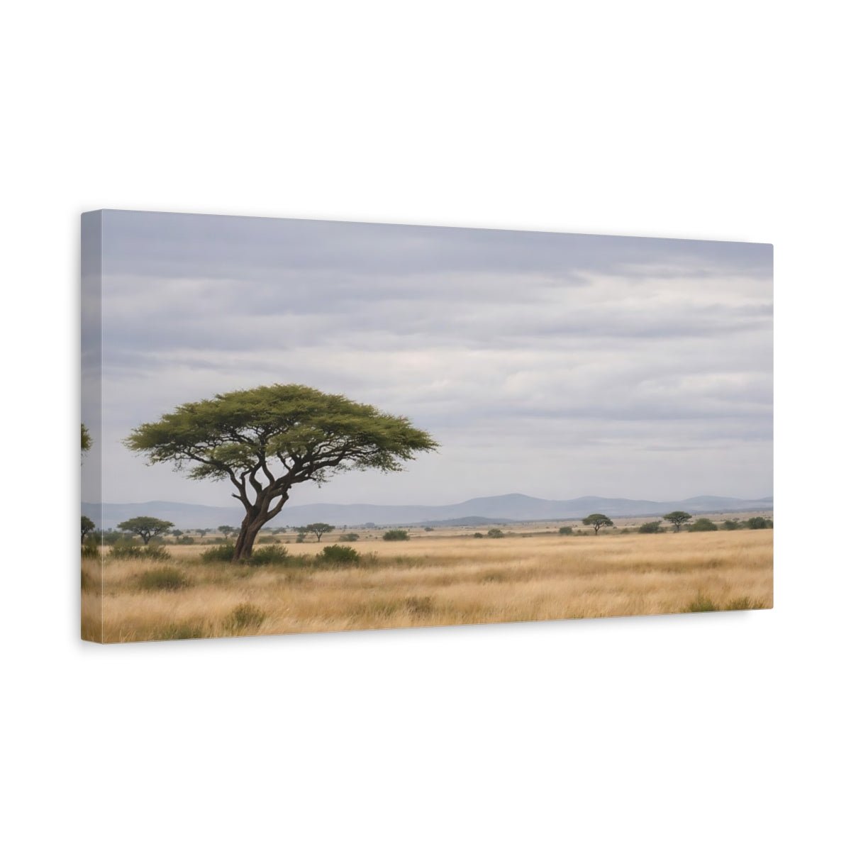 Nature Acacia Tree Savanna Landscape - Canvas Wall Art Print - YesArtYes