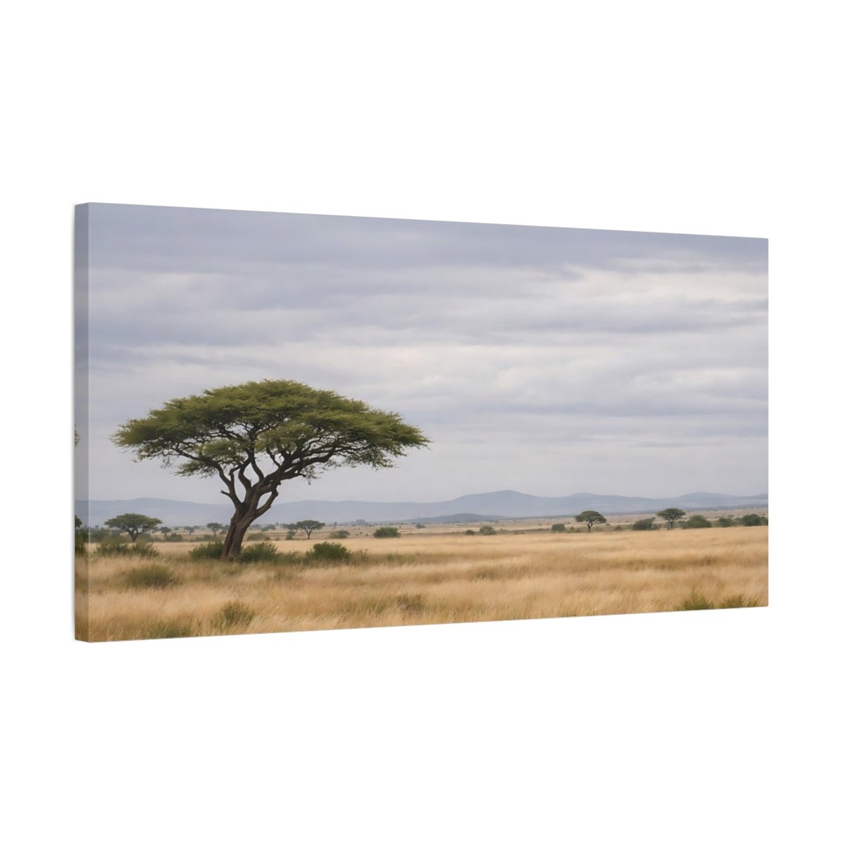 Nature Acacia Tree Savanna Landscape - Canvas Wall Art Print - YesArtYes