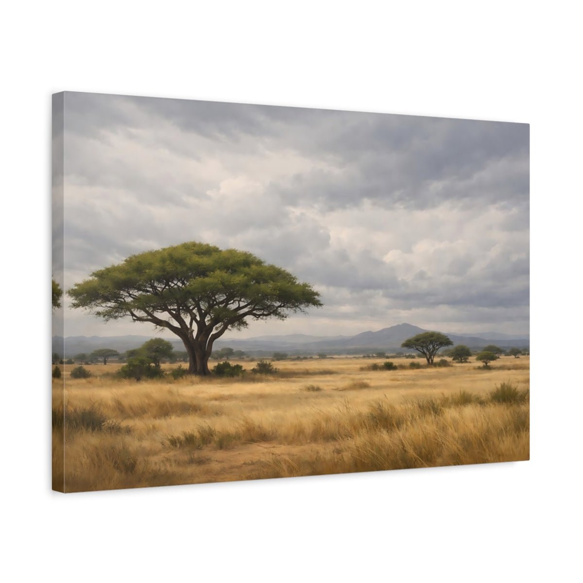 Nature Acacia Tree Savanna Landscape - Canvas Wall Art Print - YesArtYes