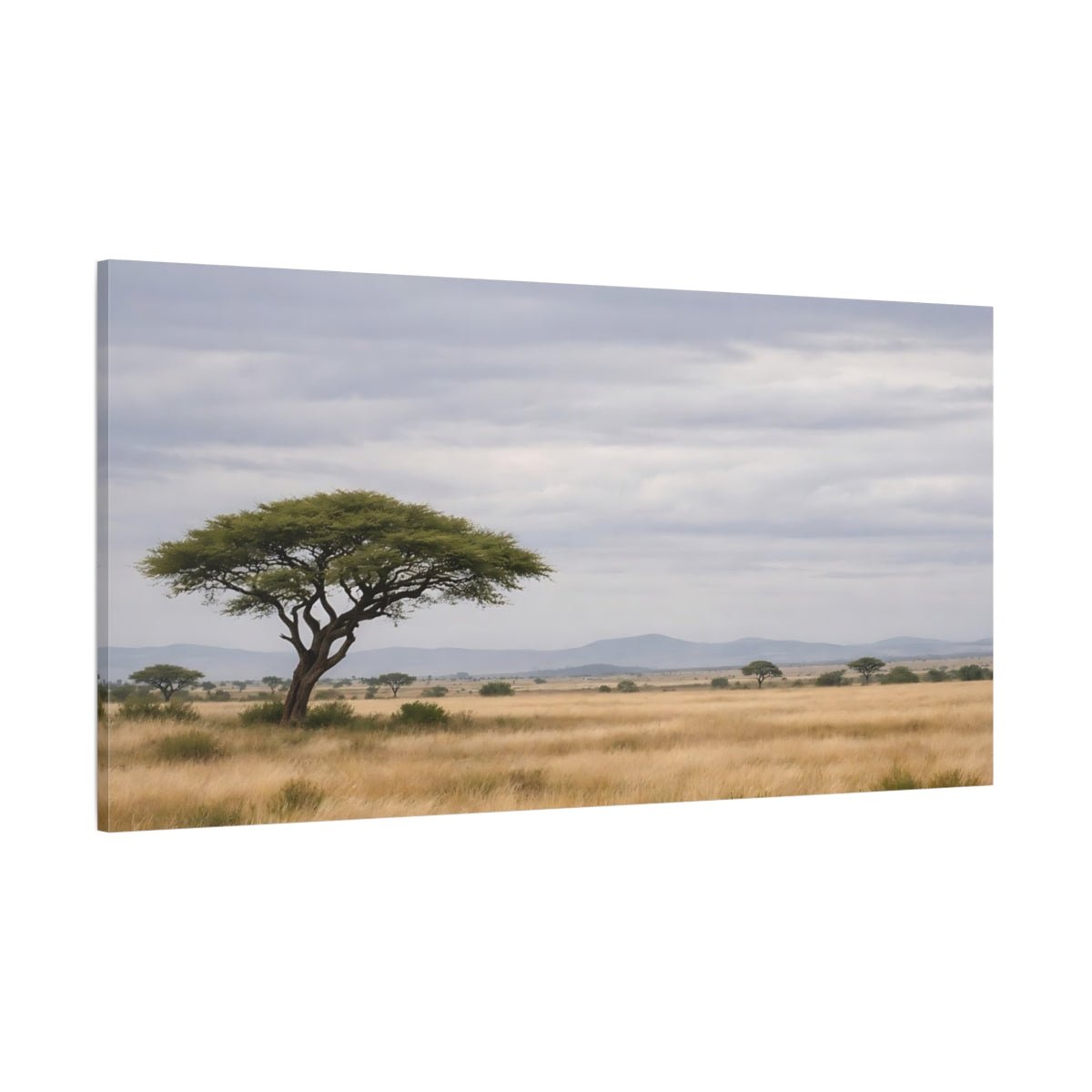 Nature Acacia Tree Savanna Landscape - Canvas Wall Art Print - YesArtYes