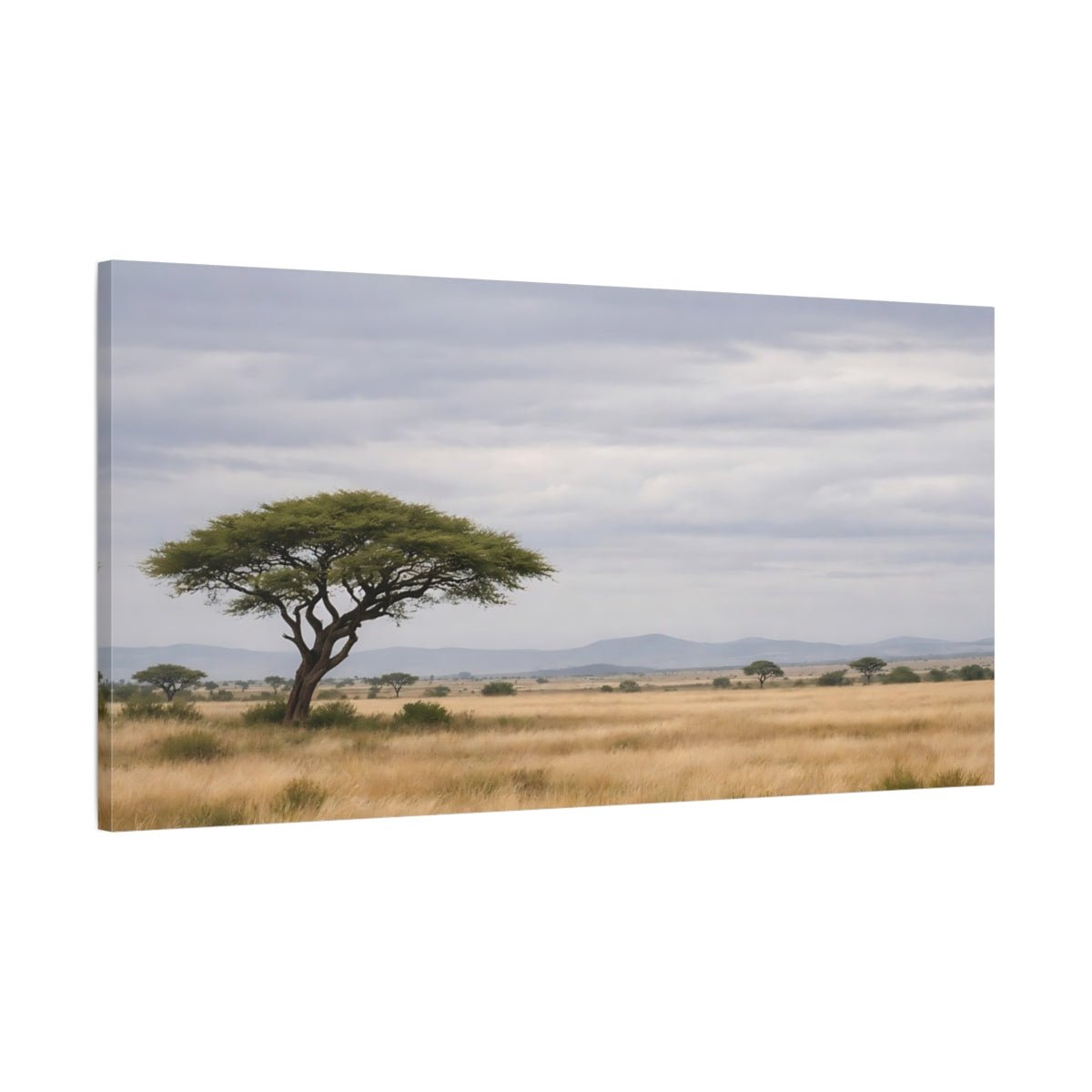 Nature Acacia Tree Savanna Landscape - Canvas Wall Art Print - YesArtYes