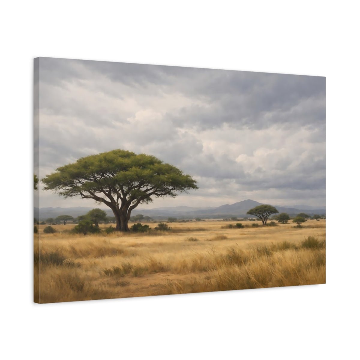 Nature Acacia Tree Savanna Landscape - Canvas Wall Art Print - YesArtYes