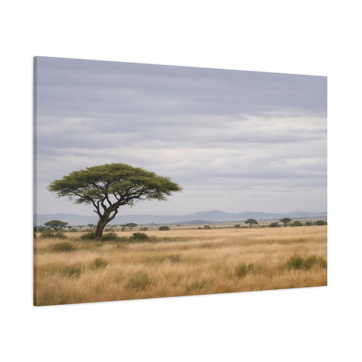 Nature Acacia Tree Savannah Landscape - Canvas Wall Art Print - YesArtYes
