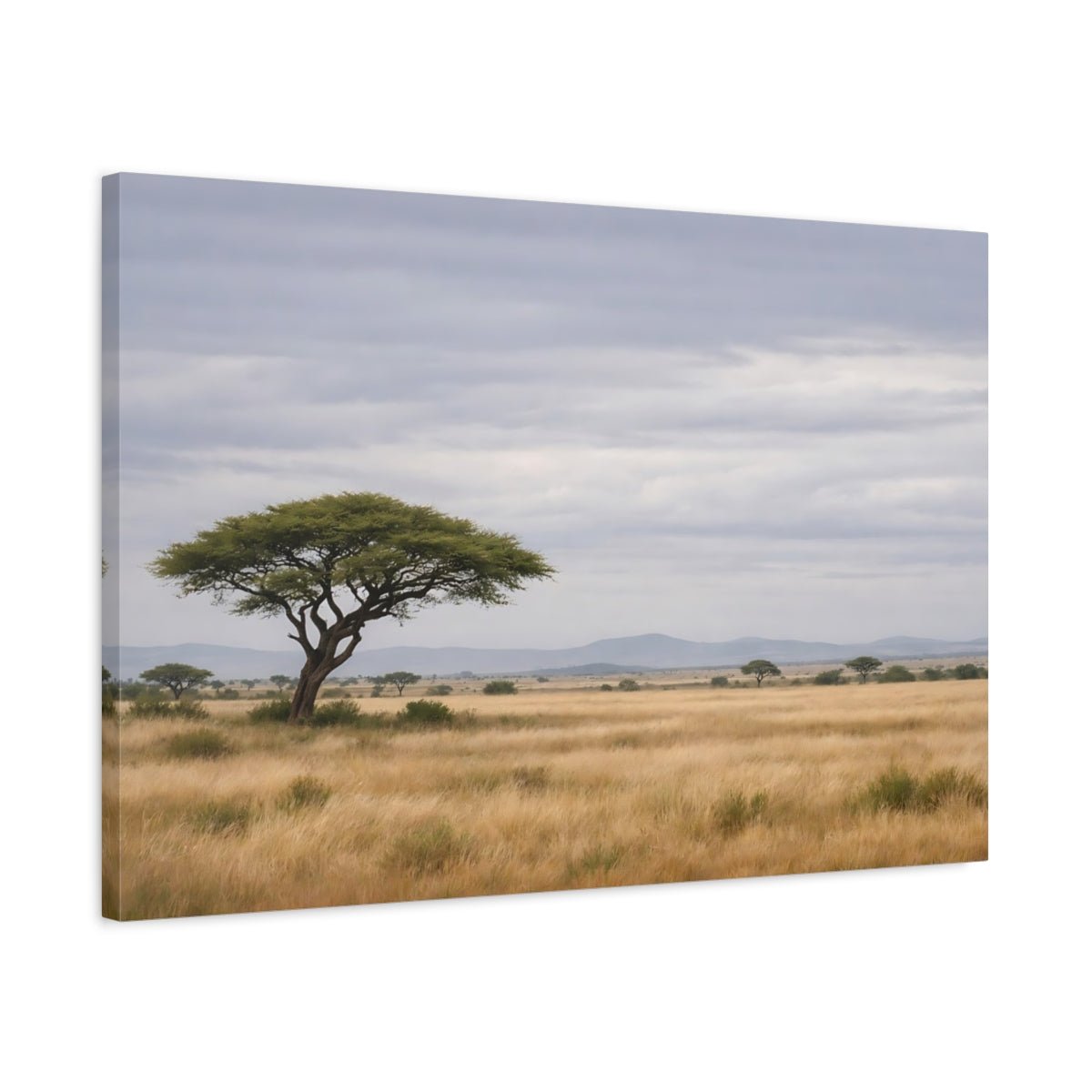 Nature Acacia Tree Savannah Landscape - Canvas Wall Art Print - YesArtYes