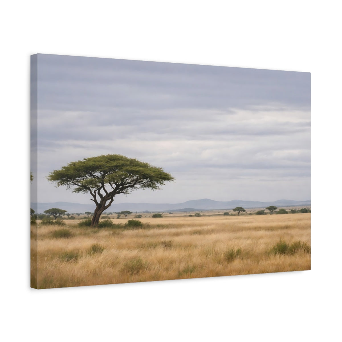Side Mockup 3. Nature Acacia Tree Savannah Landscape shown as stretched canvas wall art