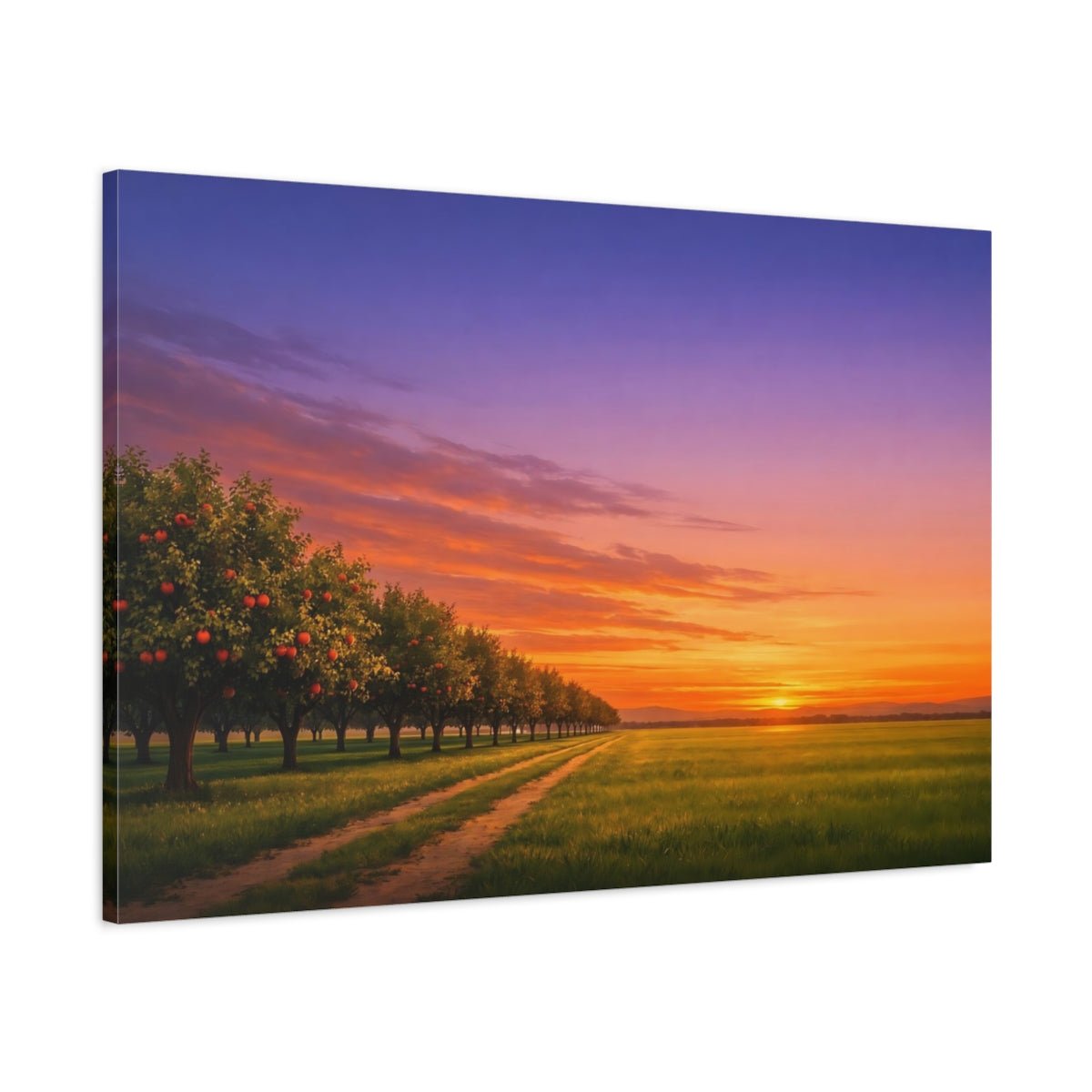 Nature Apple Orchard Sunset - Canvas Wall Art Print - YesArtYes