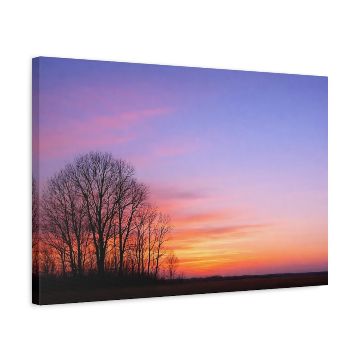 Nature Bare Trees Purple Orange Sunset - Canvas Wall Art Print - YesArtYes