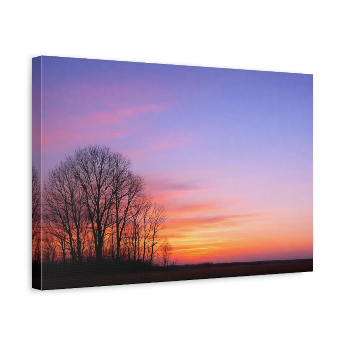 Nature Bare Trees Purple Orange Sunset - Canvas Wall Art Print - YesArtYes