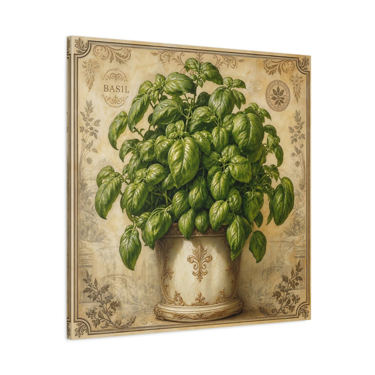 Main Mockup. Nature Basil Plant Green Basil Vintage shown as stretched canvas wall art