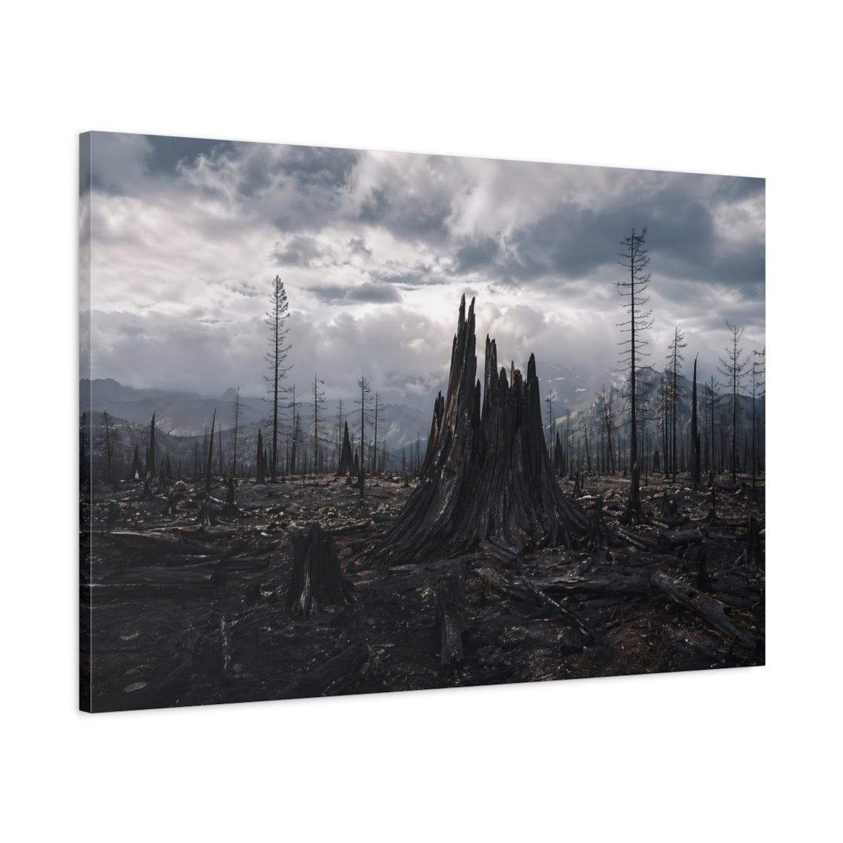 Main Mockup. Nature Burnt Forest Dark Landscape shown as stretched canvas wall art