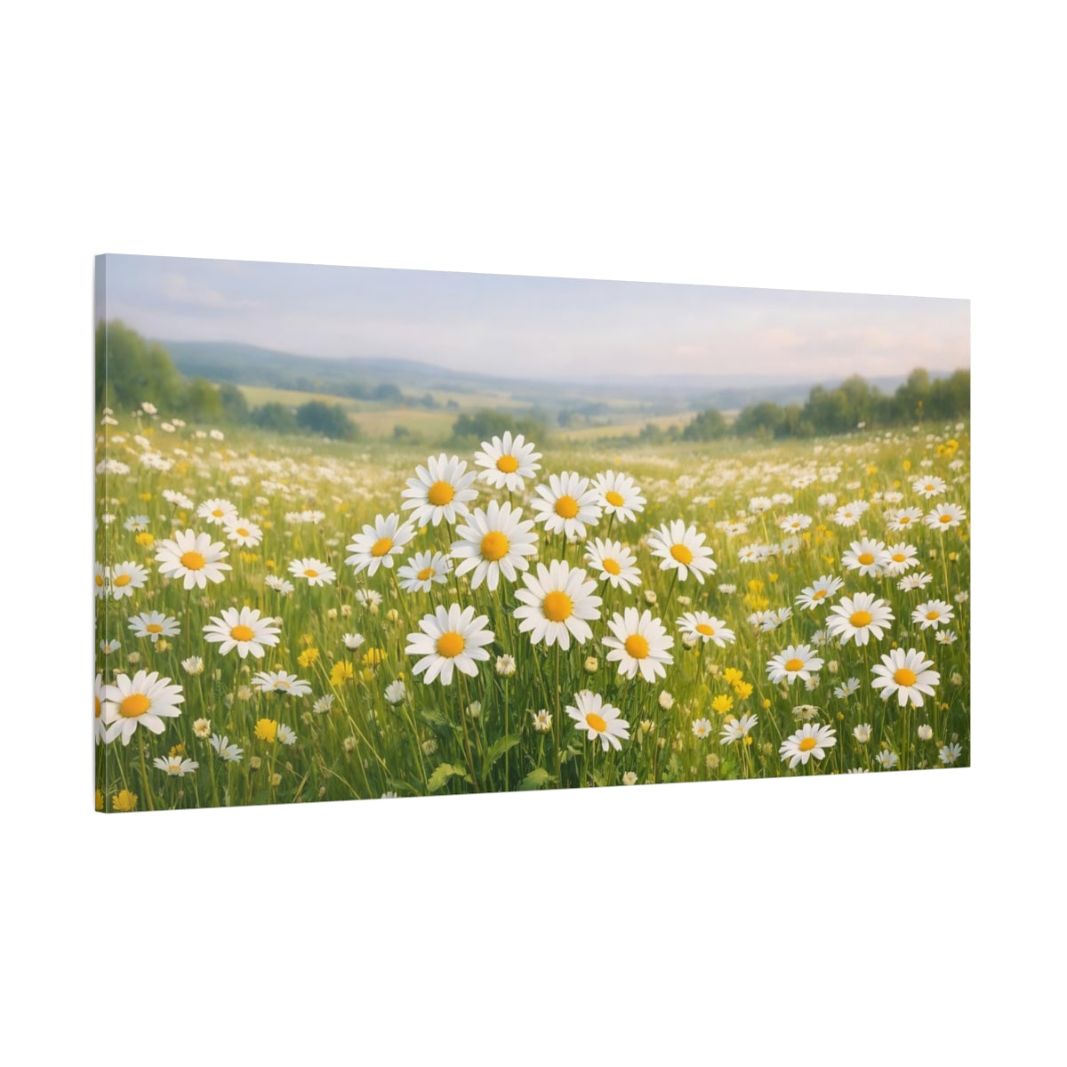 Main Mockup. Nature Daisy Field Daisy Field shown as stretched canvas wall art