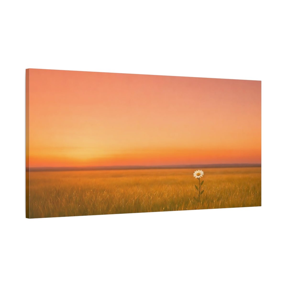 Nature Daisy Flower Sunset Field - Canvas Wall Art Print - YesArtYes