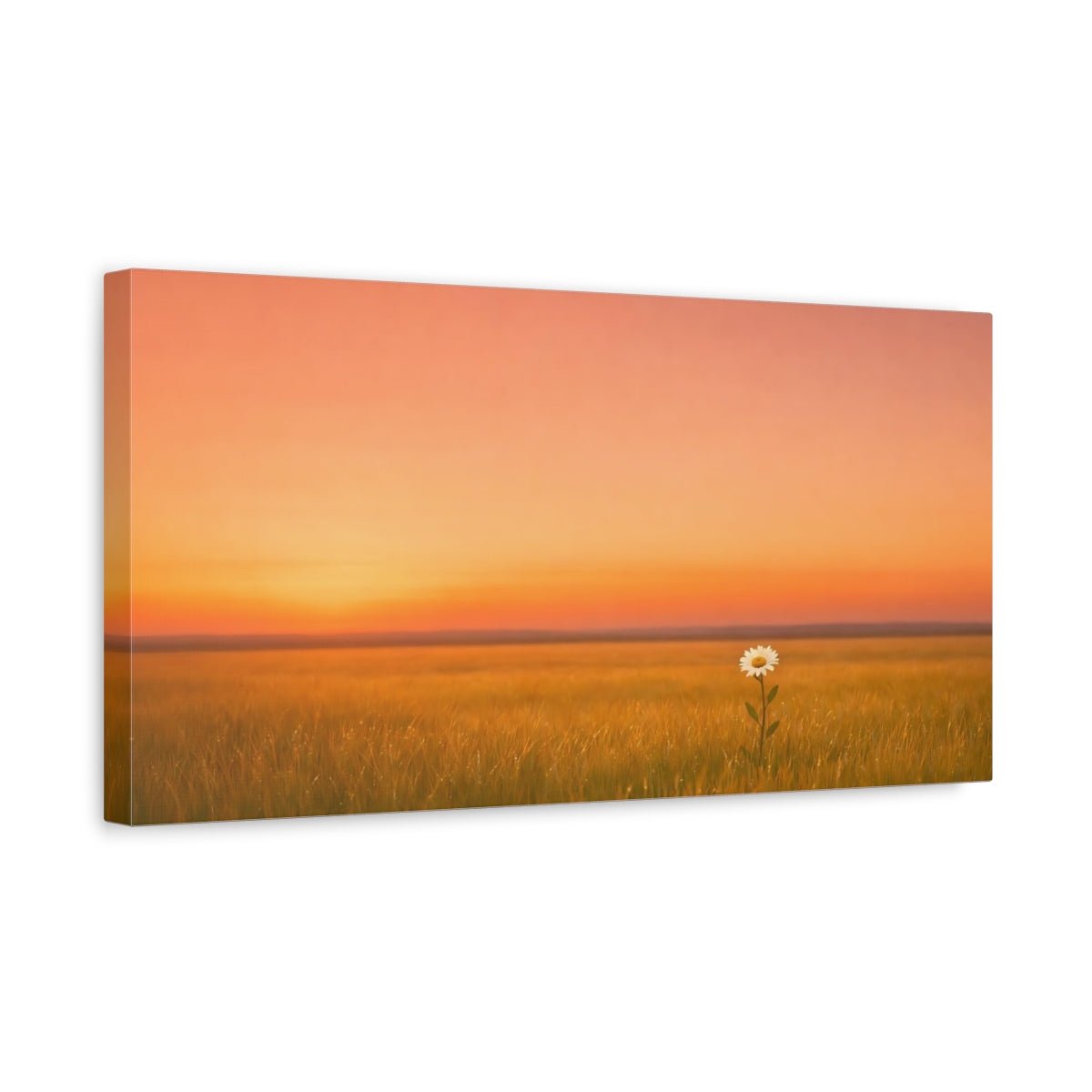 Nature Daisy Flower Sunset Field - Canvas Wall Art Print - YesArtYes