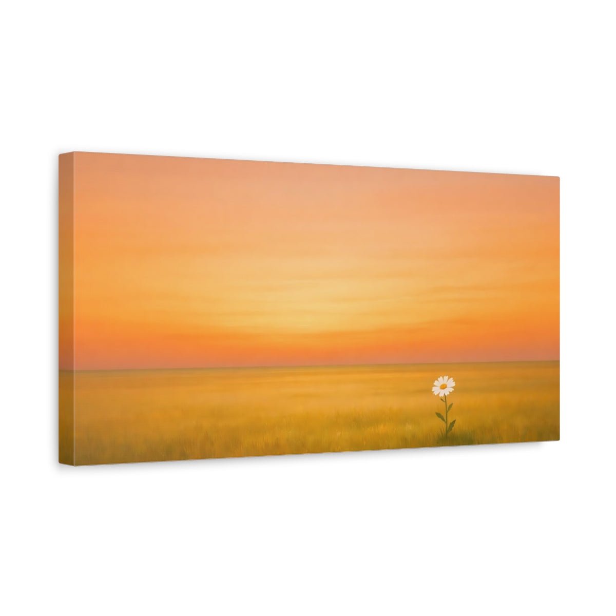 Nature Daisy Orange Sunset - Canvas Wall Art Print - YesArtYes