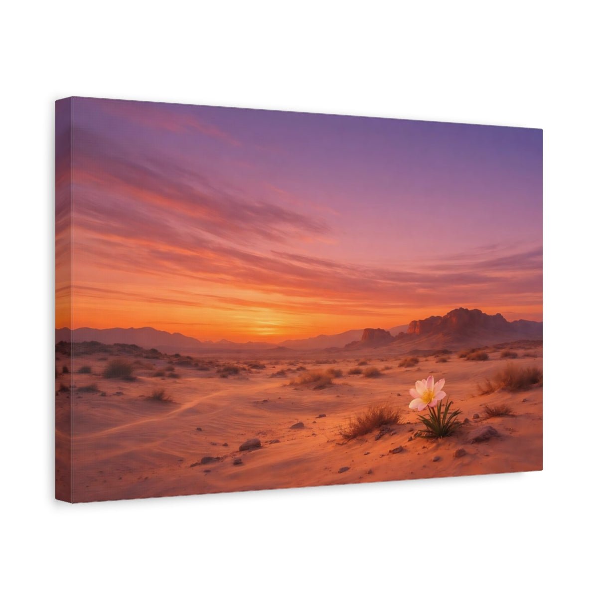 Nature Desert Flower Orange Purple Sunset - Canvas Wall Art Print - YesArtYes