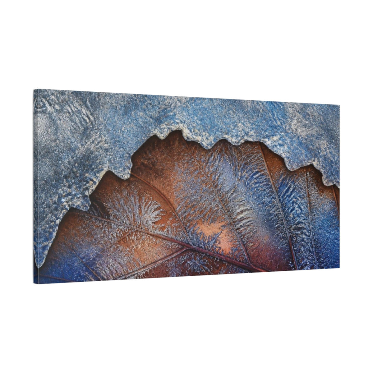 Main Mockup. Nature Frosted Leaf shown as canvas print