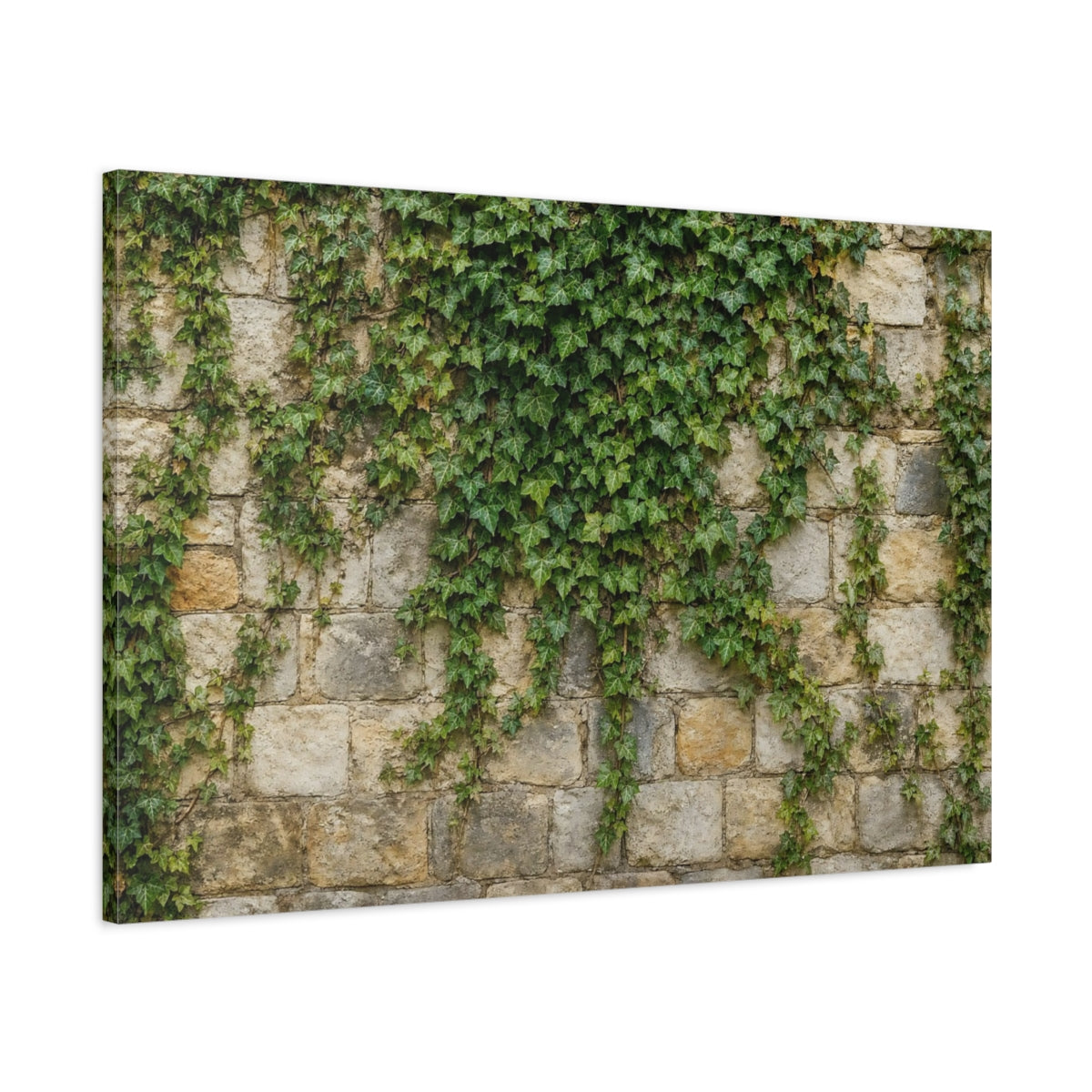 Main Mockup. Nature Ivy Green Ivy Wall shown as stretched canvas wall art