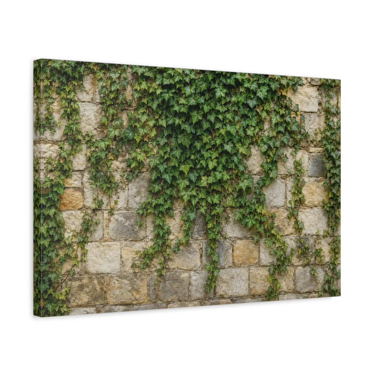 Side Mockup 3. Nature Ivy Green Ivy Wall shown as stretched canvas wall art