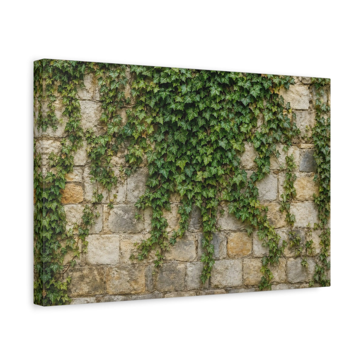Side Mockup 4. Nature Ivy Green Ivy Wall shown as stretched canvas wall art