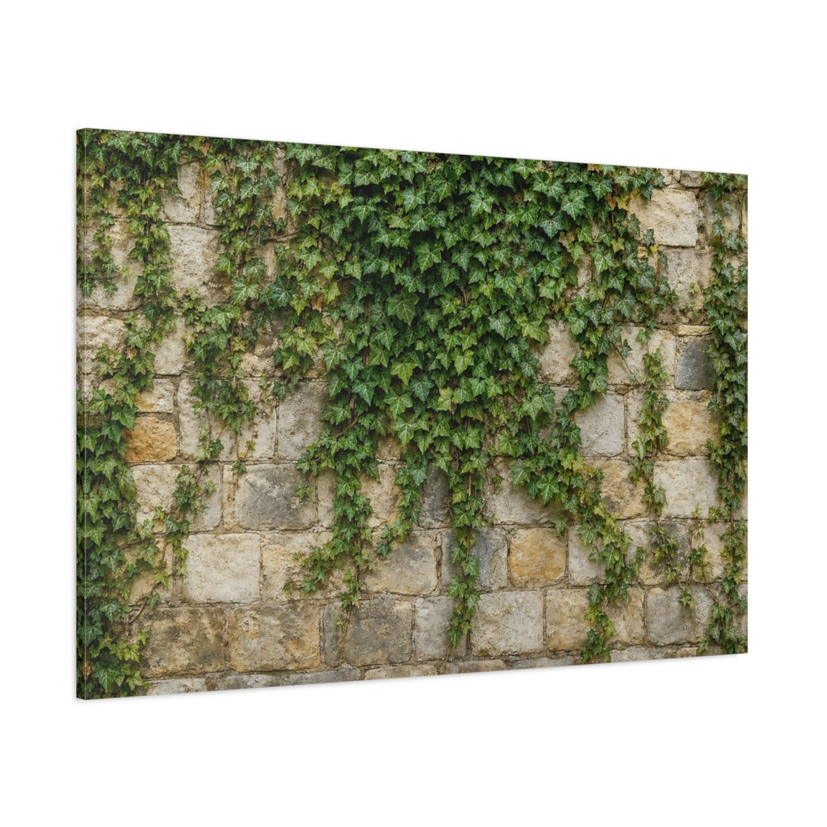 Side Mockup 1. Nature Ivy Green Ivy Wall shown as stretched canvas wall art